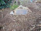 image of grave number 619094